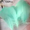 100pcs 6-12 Cm Natural Colourful Goose Feather Plume for Wedding Party Clothing Decoration DIY Craft Feathers