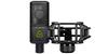 AIUEO LEWITT LCT240Pro Value Pack Condenser Microphone, Black