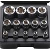 14-Piece E-Type Torx Socket Set, Star, Flower, and E-Type Sockets, E-Torx Screw Remover, Car Repair Tool, E4, E5, E6, E7, E8, E10, E11, E12, E14, E16,