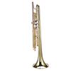 LADE Professional Bb Flat Brass Trumpet Instrument Set Kit Accessory (Gold)