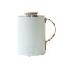 THANKO "Single-Person Mug Kettle" S-MCH21 (Mint Green) - Boil and Drink Direct