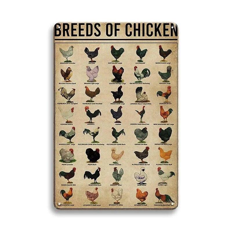 Farm Chicken Fresh Eggs Metal Tin Signs Vintage Plaque Wall Art Decor Tin Plate Retro Poster Bar Happy Farm Home Wall Decor