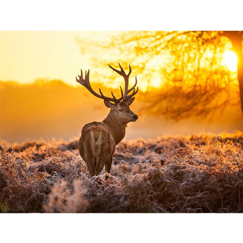 5D Diy Полный Круглый Квадратный Алмазная Картина Животных Собака Алмазная Вышивка Осенний Кленовый Лист Украшение Стены Домашнее Искусство