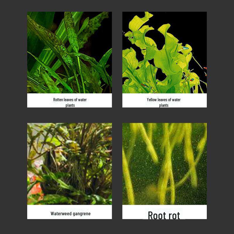 Набор ножниц и пинцетов из нержавеющей стали для обрезки аквариумных растений