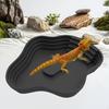 Reptile Bathing Pool Lizards Habitat Decoration Water Bowl Feeding Dish for Gecko