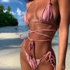 2025 New Style High-End Lustrous Nylon Bikini with Tassel Trim