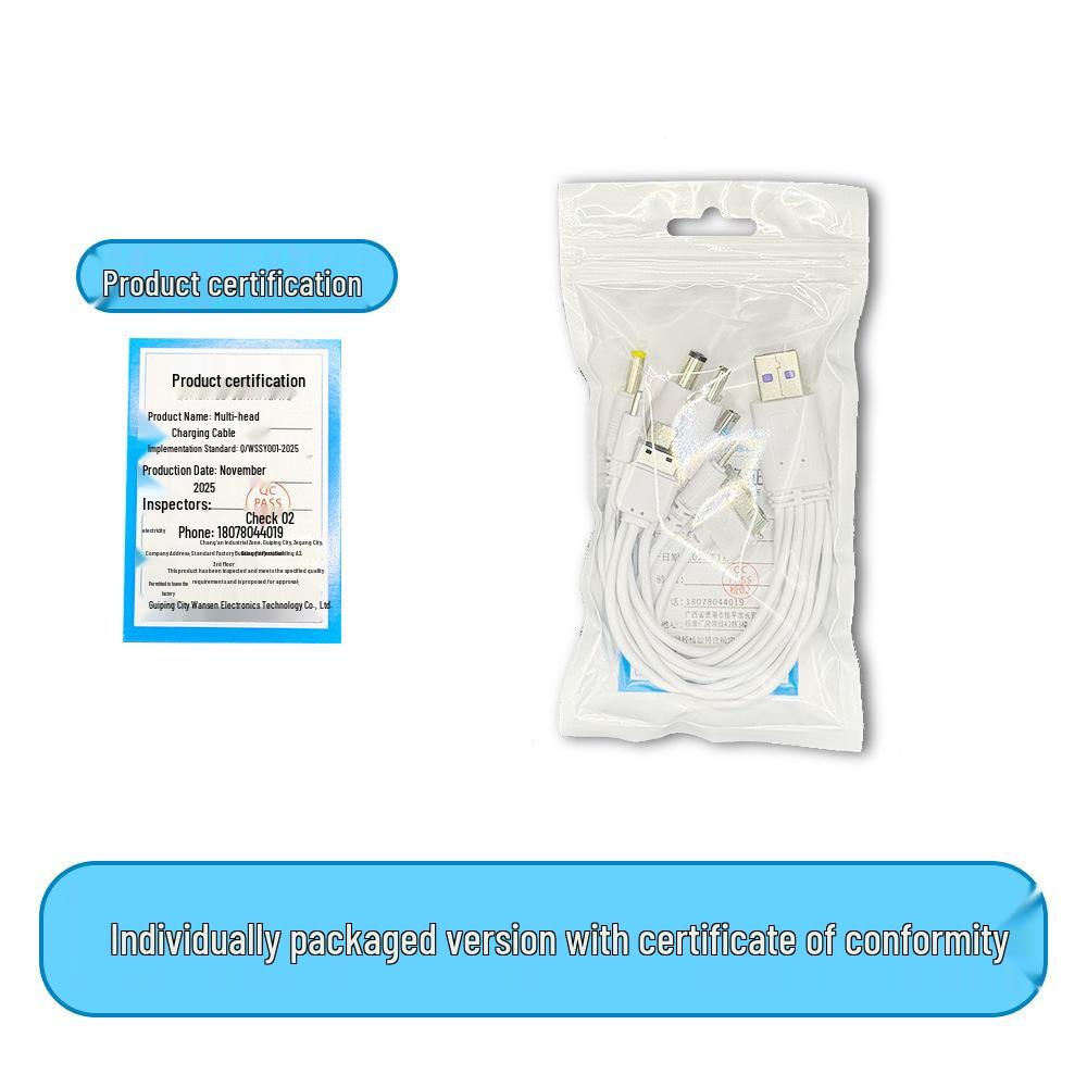 2A Eco-friendly 10-in-1 Multi-functional Charging Cable for Phones, Electronics, and Toys