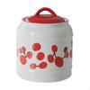 Ceramic Food Jar with Airtight Lid, 2500ml, Coffee and Sugar Containers, Ginger