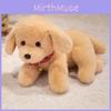 Stuffed Puppy Labrador Doll With Bell Collar Decoration For Gift Childrens