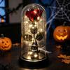 Secret Room Decorative Item Halloween Indoor Light Up Rose in Plastic Dome Cloche, Artificial Preserved Gothic Floral Night with Spider Pumpkin Witch