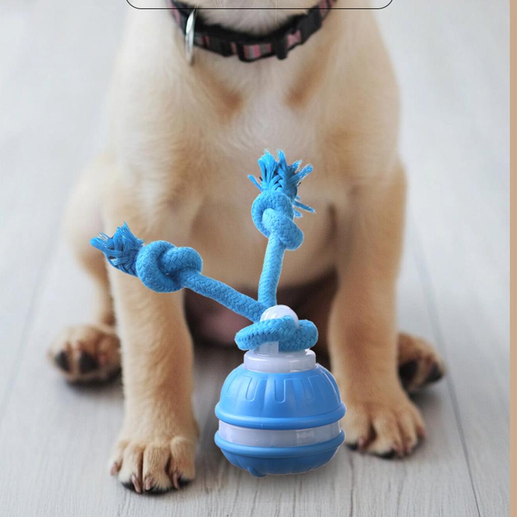 Интерактивные игрушки для собак, новые игрушки для собак с пищалкой, активный катящийся мяч для щенков и средних собак, перезаряжаемый через USB