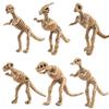 Explore The Fascinating World Of Dinosaurs With Our Durable Skeleton Model Toy Collection