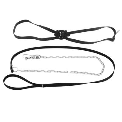 Шлейка для черепахи с поводком, регулируемая, приятная к коже, шлейка для питомца, поводок для рептилии для улицы, черный, L