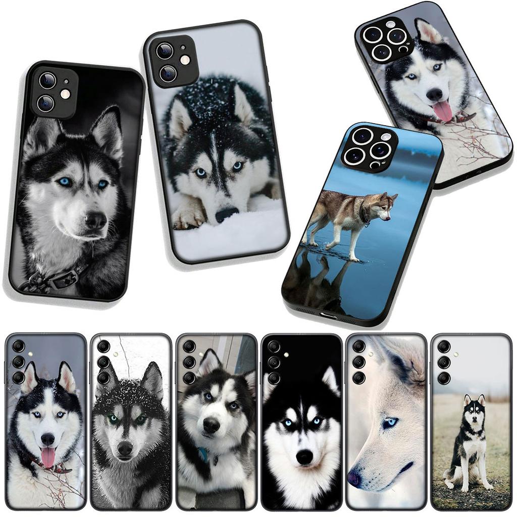Phone Cover Animal Lovely Husky Dog Casing for Samsung Galaxy S25 S24 S22 S23 FE Ultra Plus A56 A05 A06 A15 A16 A55 S7 Edge Case