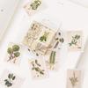 45pcs Floral Illustrations Stickers Set Plants Drawing Stamp Note Sticker Home DIY Diary Adhesive Decoration Gift Letter