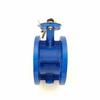 D41X-16Q Ductile Iron Manual Soft Seal Flange Butterfly Valve with EPDM Seal