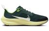Nike Air Zoom Pegasus 40 Глубокие Джунгли DX2498-301