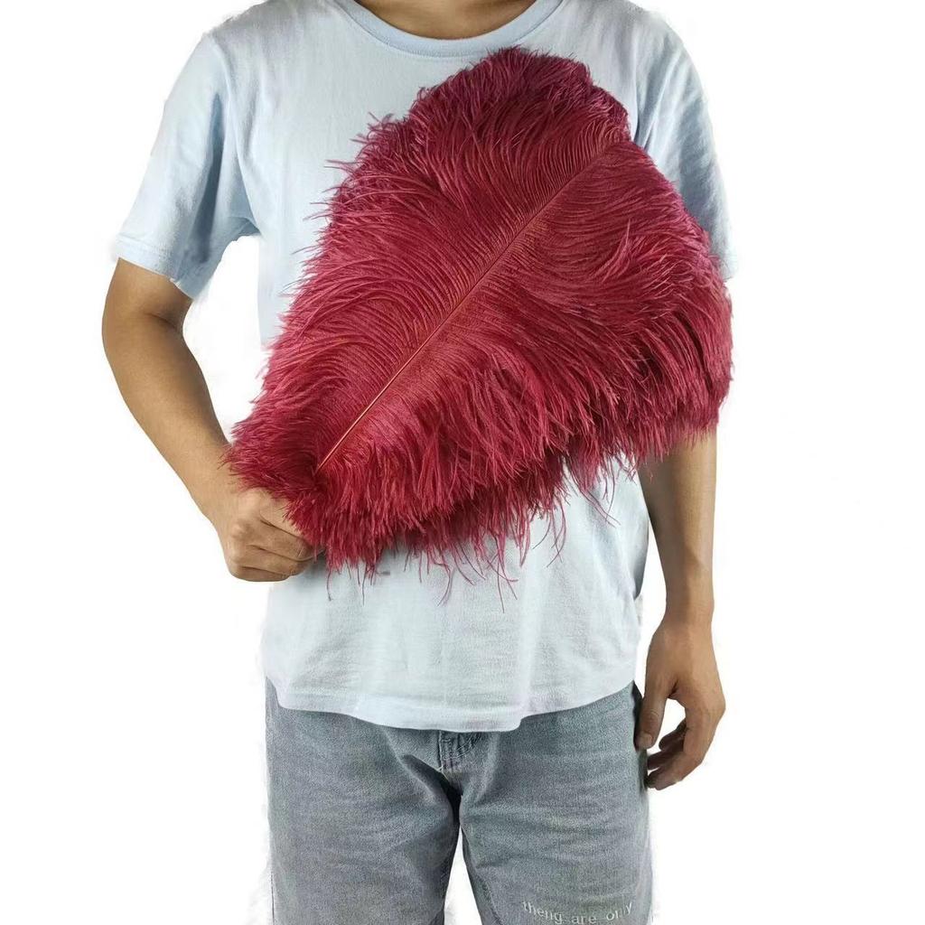 10PCS 45-50cm Colorful Big Feathers Ostrich Table Flower Table Flower Wedding Decoration Ostrich Feathers