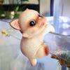 Animal Decorative Statue Mini Cat Dog Resin Ornament Compact Design Flower Pots Fish Tanks Aquariums Figure