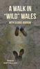 Книга A Walk In "Wild" Wales with George Borrow