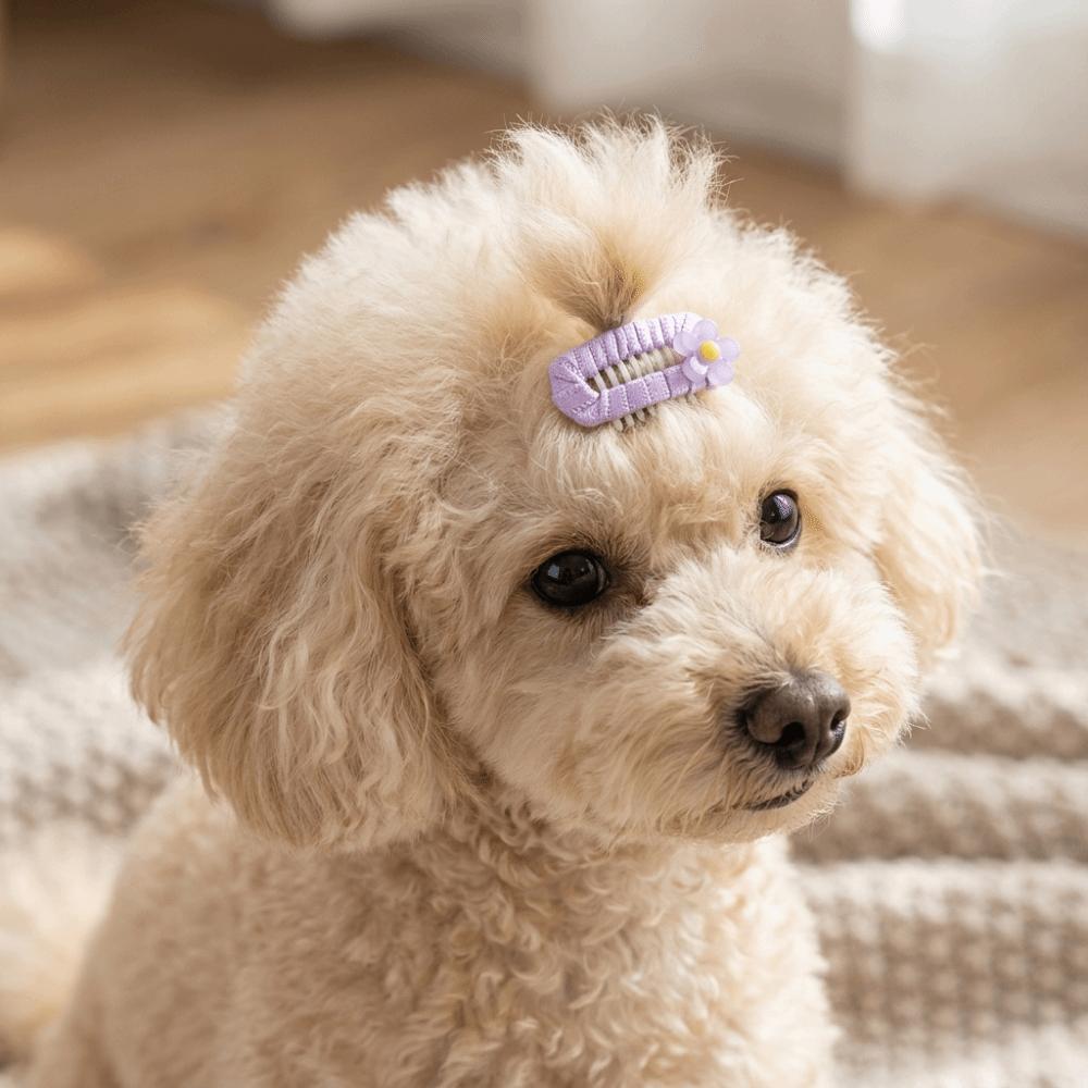 10Pcs Mixed Colors Dog Hair Clip Organza Bow Pet Head Flower Dog Grooming Clip Daily Wear