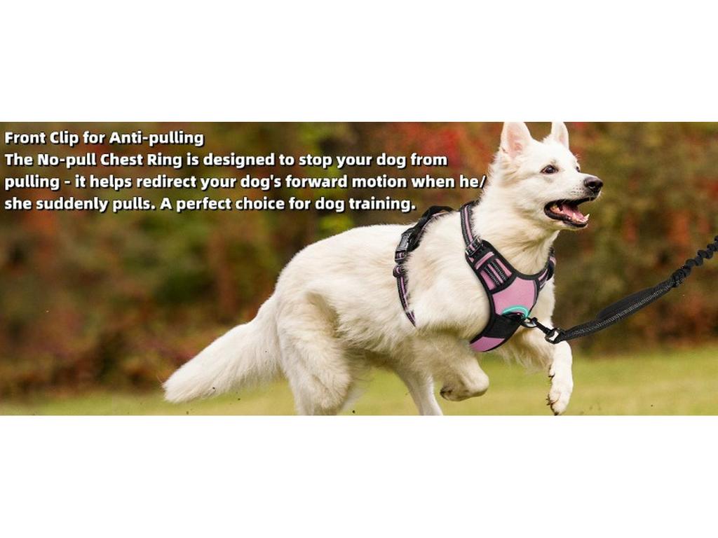 Нейлоновая шлейка для груди и поводок для крупных питомцев