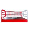 Sheng Tong Wei MMA Octagon Boxing Cage
