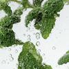 Шампунь для глубокого очищения кожи головы Mint Biome 250 мл и кондиционер 250 мл