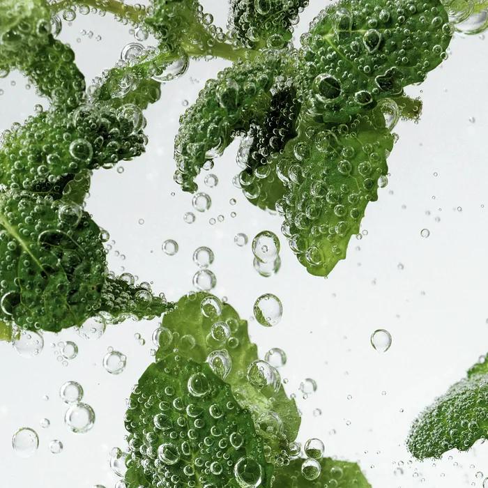 Шампунь для глубокого очищения кожи головы Mint Biome 250 мл и кондиционер 250 мл