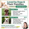 Approved by Dogs Additive-Free & Fragrance-Free Shampoo Hypoallergenic Rich Form Organic Pet Shampoo Made in Japan OneWoof 300g 1 Bottle