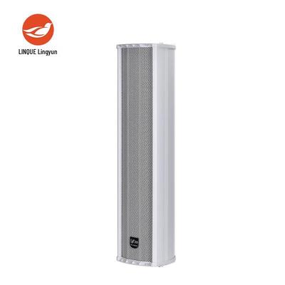 Сетевая колонка Lingque MS9009 IP, штекер CN (адаптер в комплекте)