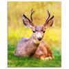 5D DIY Diamond Painting Deer Diamond Mosaic Full Round Animal Diamond Embroidery Cross Stitch