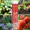 22Pcs/Bottle Phytonutrients Plant Nutrition Slow-release Balanced Nutrient Elements Fruits Vegetables Flowers Phytonutrients for Healthy Growth