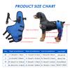 Dog Knee Braces For Back Legs Double Hind Leg Brace Support Belt Prevent Injury