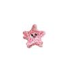Acetic Acid Cute Hair Crab Clip Hair Clip Mini Hair Claw Lovely Starfish Hair Claw  Daily Life