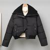 Модные зимние женские парки Свободные Толстые Теплые Короткие Куртки Женские Пальто
