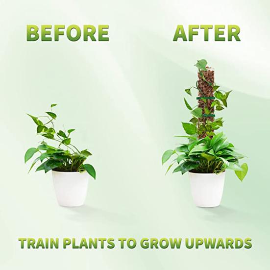 2/4/6 шт., регулируемая по высоте колонна из водяного мха, растения сфагнума, пластиковый столб для мха, комнатные растения, многоразовая опора для растений