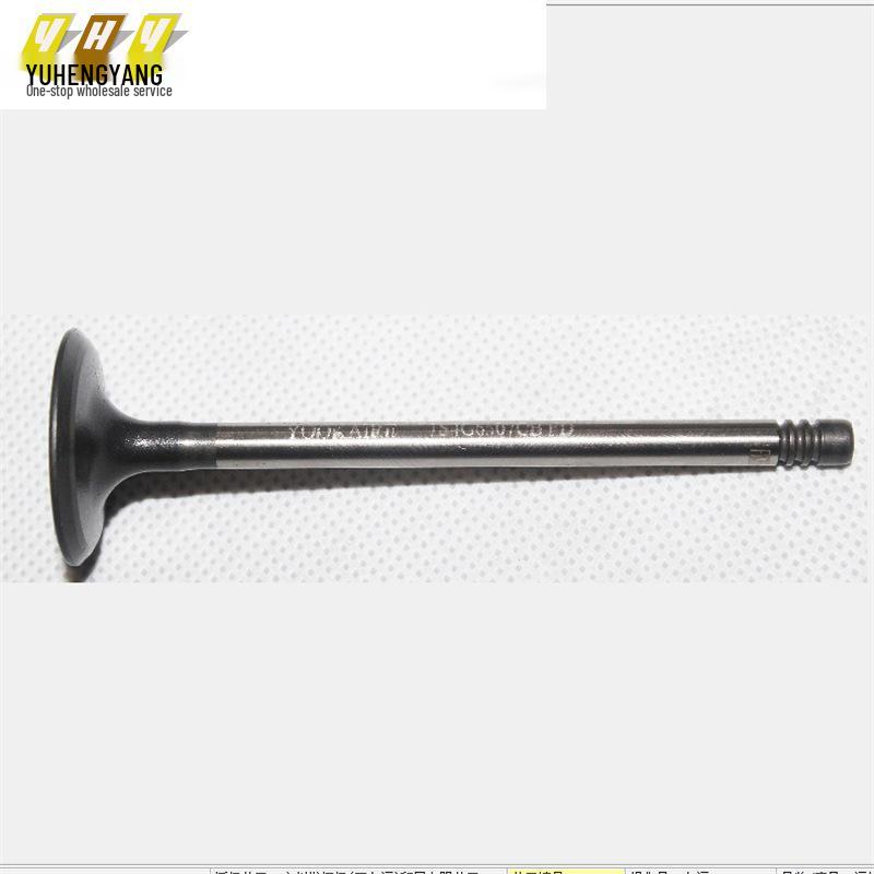 Focus 12-15, EcoSport, Fiesta 13, Escort Intake Valves (Set of 8)