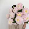62CM Double-Headed Peony Silk Flowers for Decorations and DIY Arrangements