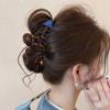 Hairpin Fish Bone Shaped Hair Claw Acetic Acid Acetate Shark Clip Cute Animals Hair Clip  Headwear