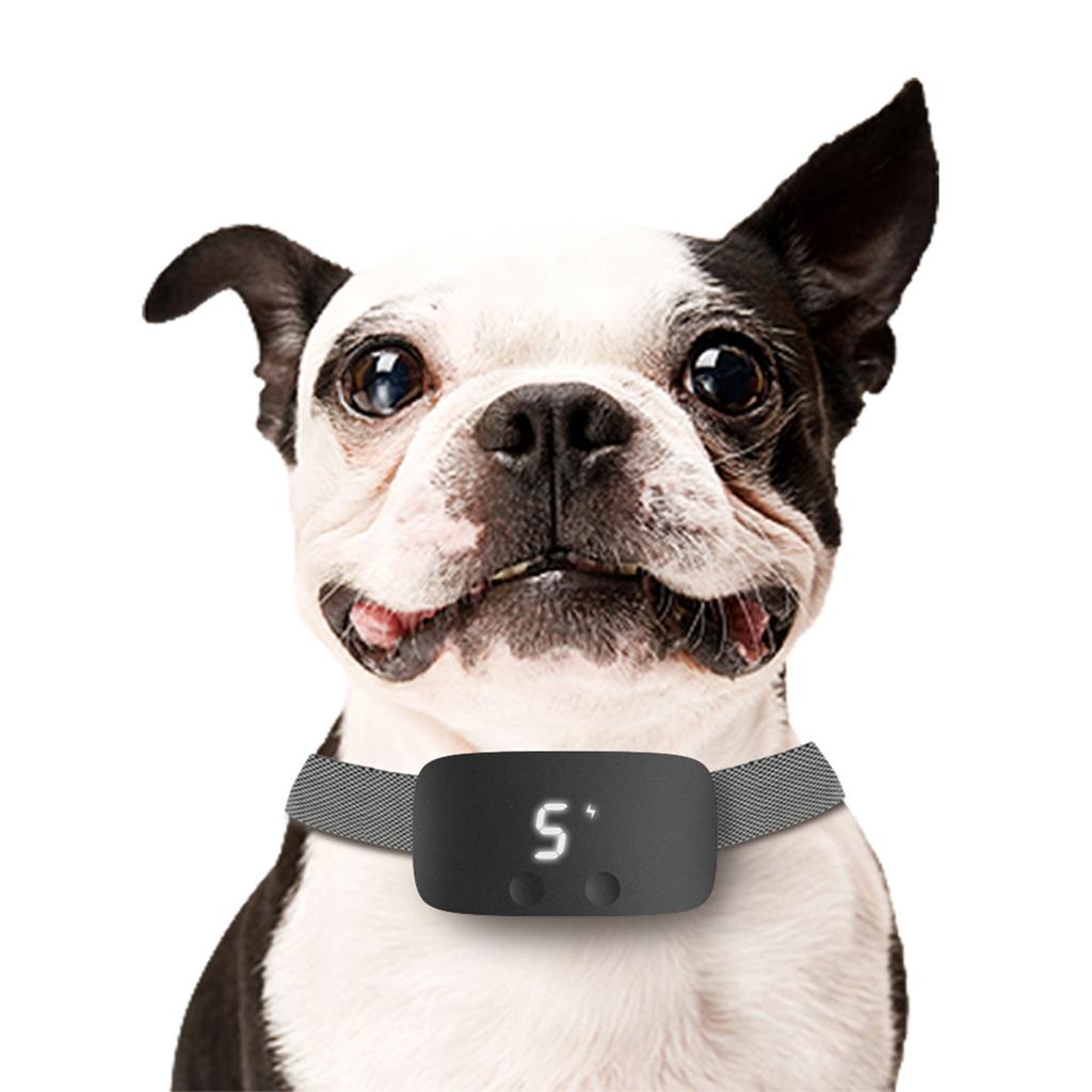 Dog Bark Barking Collar Re able Anti Barking Training Collar Trainer with Three Efficient and Safe Modes for All Dog Breeds