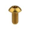 2pcs Titanium Alloy Screws M5 X 10 Lightweight Disc Brake Hexagon Socket Screw For Mountain Road