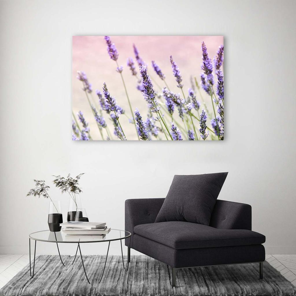 Canvas print, Lavender flowers