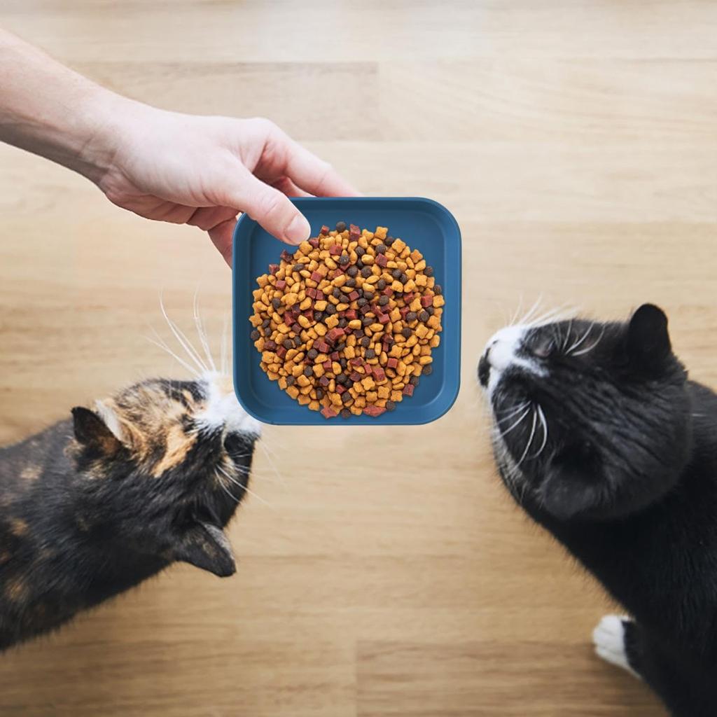 4 цвета, квадратная миска для кормления, миска для кошачьей еды, миски без усталости для влажного и сухого корма для котят и коротконогих кошек