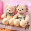 Creative Fresh Bear Doll Teddy Bear Plush Toy Couple Big Bear Doll Girl Gift Pressing Doll