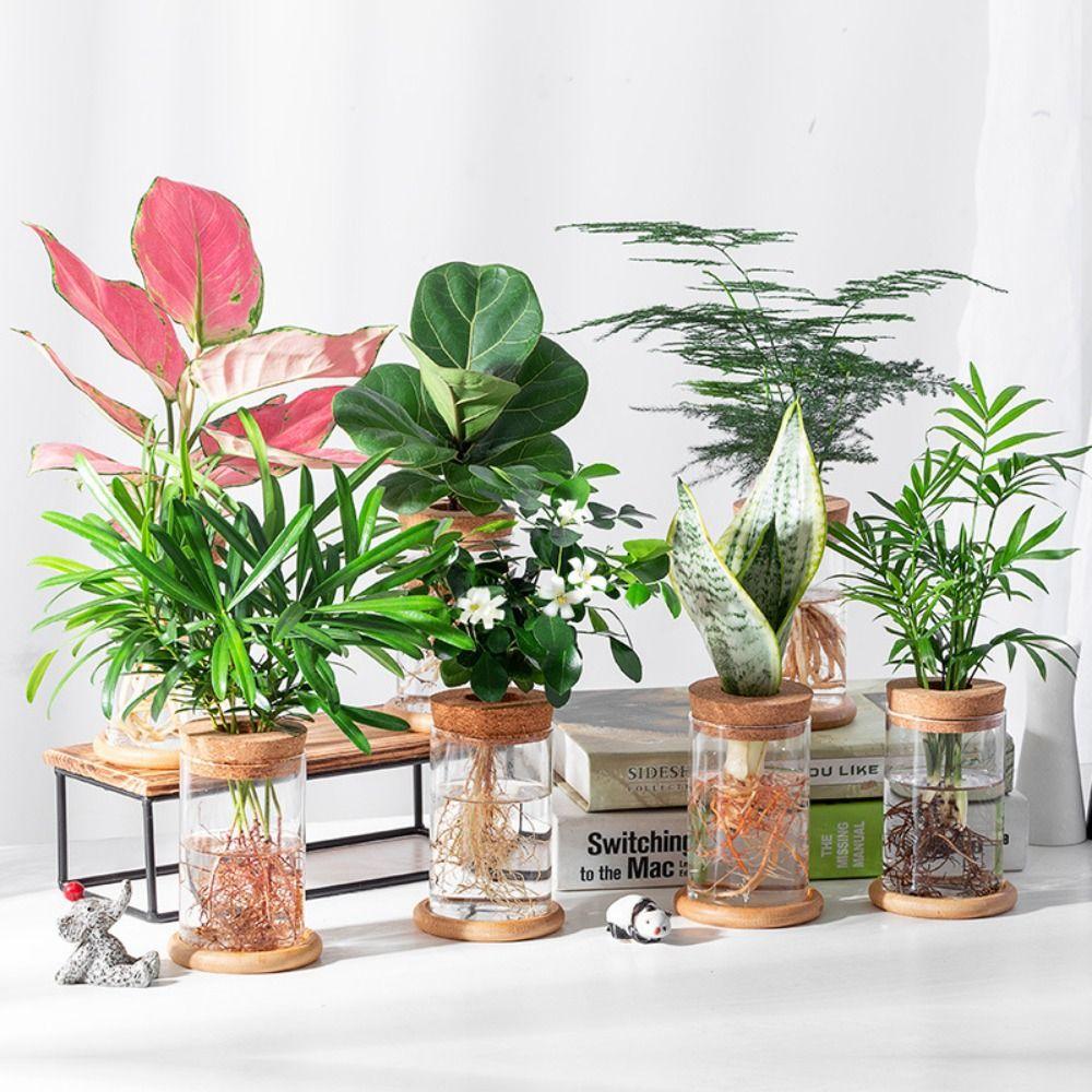 Стеклянные гидропонные растения цветочный горшок прозрачная экологическая стеклянная ваза украшение для рабочего стола