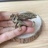 Chinese Mythical Pterosaur Dragon Ornament Mythical Beast Figurines  Home Desk Decorations