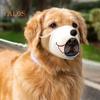 Dog Muzzle Adjustable Anti Biting Barking Mouth Guard Cover Breathable Drinkable Cartoon Print Pet Muzzle for Small Large Dogs