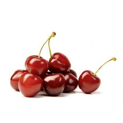 Denoyauteur - Inox - 16x6 cm - Diamètre fruit 2,5 cm - Évacuation automatique - Lave-vaisselle