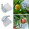 1 Pcs Metal Fruit Picker Orchard Gardening Apple Peach High Tree Picker Fruit Catcher HMM
